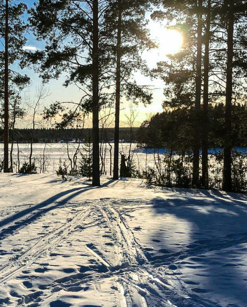 Kuva talvisesta aurinkoisesta järvimaisemasta